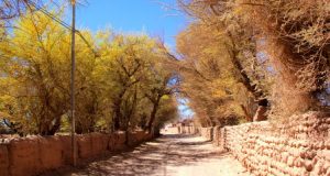 Visiting the Driest Place in the World: San Pedro de Atacama