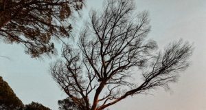 The Best Hikes at Sunset in Cape Town