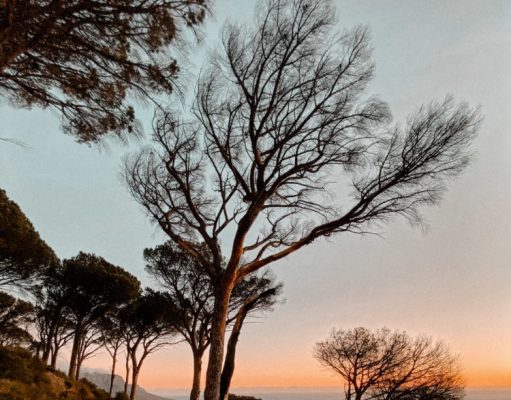 The Best Hikes at Sunset in Cape Town