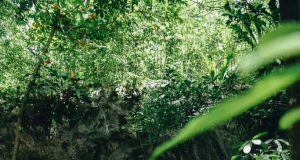 The Complete Guide to Tulum, Mexico