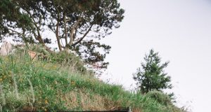 Visiting Hobbiton in New Zealand