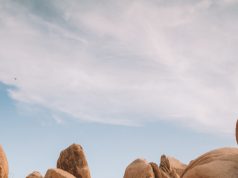 7 Places you can not miss around Joshua Tree National Park