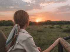 A Beginner’s Guide to Safari