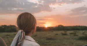 A Beginner’s Guide to Safari