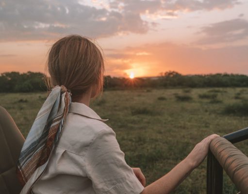 A Beginner’s Guide to Safari