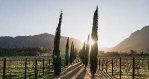 A weekend escape to Franschhoek