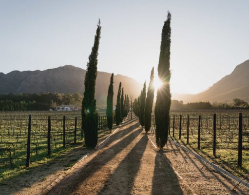 A weekend escape to Franschhoek