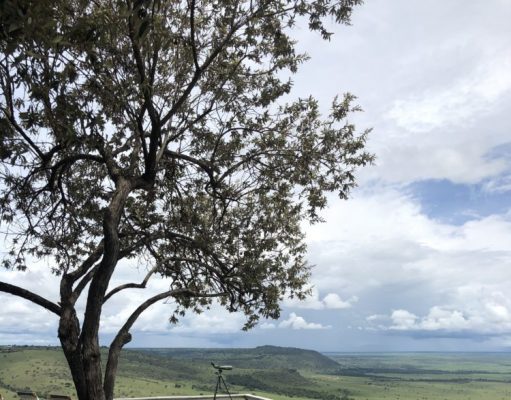 Luxury in East Africa: Checking in to Angama Mara