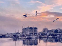 The 12 Best Things to do in Launceston