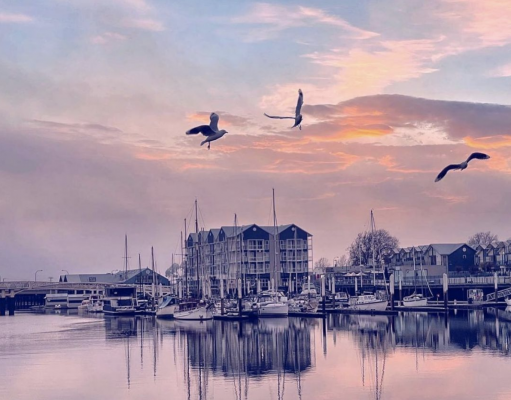 The 12 Best Things to do in Launceston
