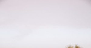 The 7 Best Road Trips from Los Angeles