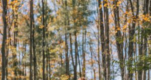 Where to Travel on the East Coast of the US