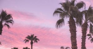 Your Summer Guide to Palm Springs