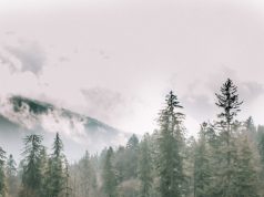 How to travel the world and get paid (how I did it for a decade)