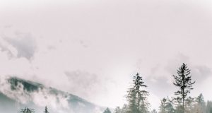 How to travel the world and get paid (how I did it for a decade)