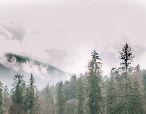 How to travel the world and get paid (how I did it for a decade)